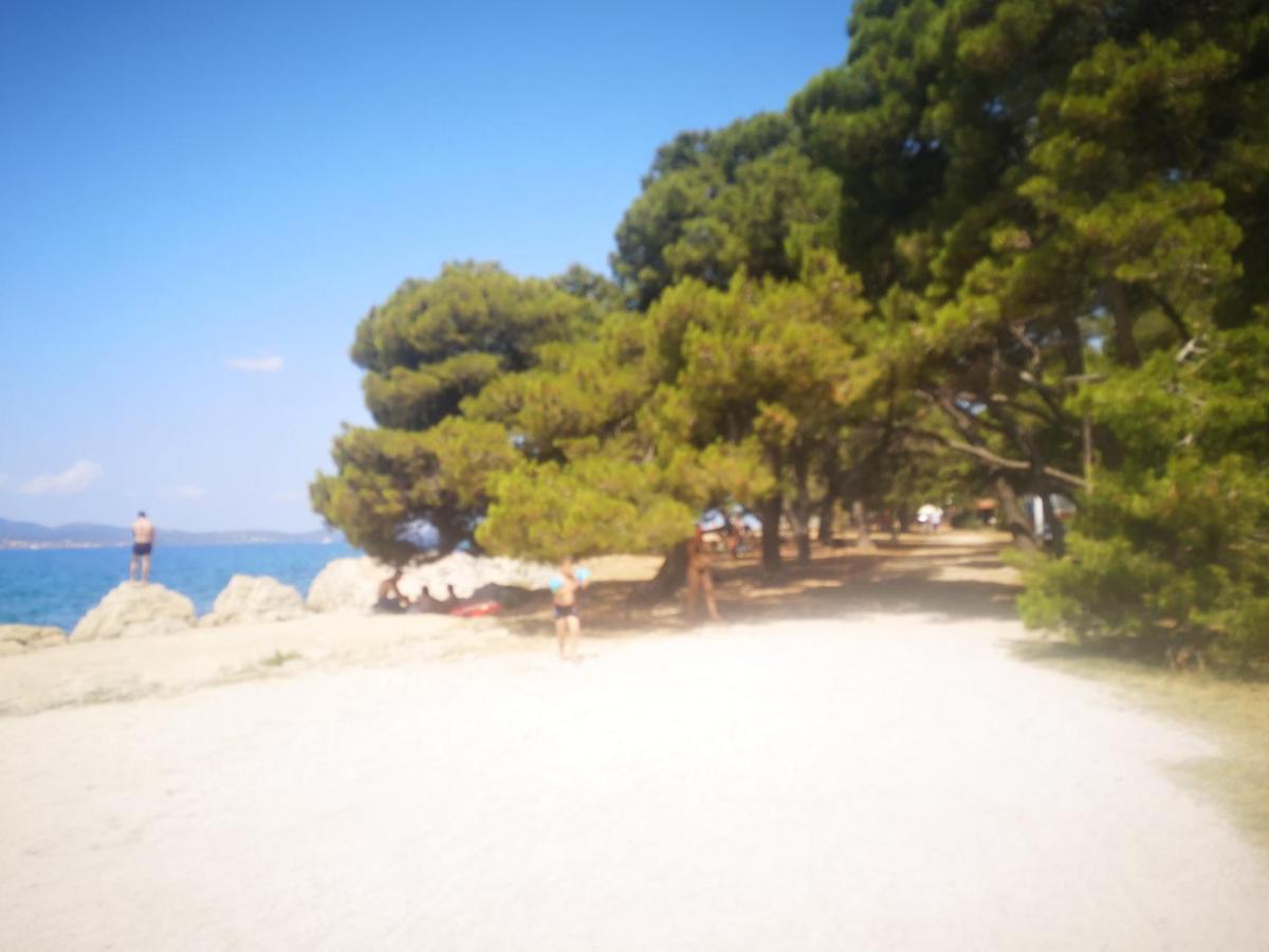 Apartment Asea Zadar Bagian luar foto